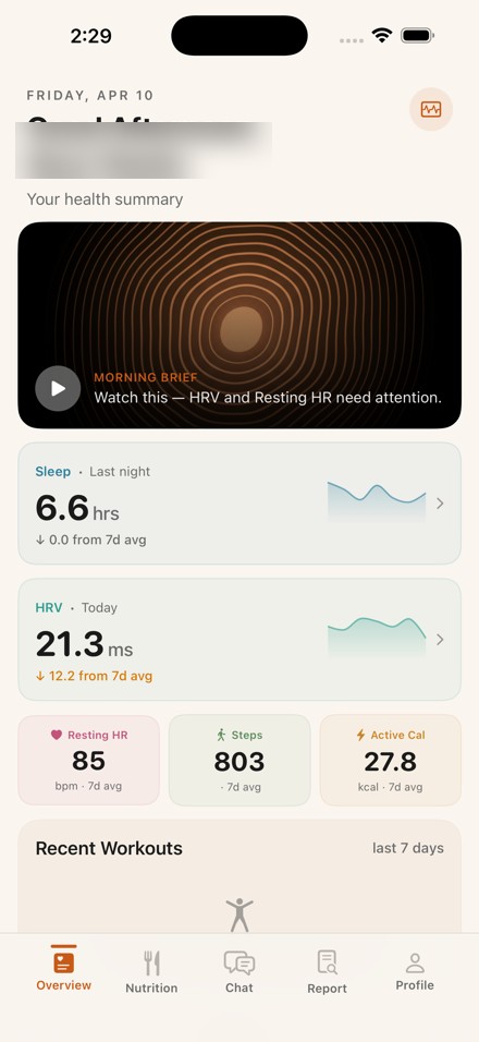 ondai dashboard in light mode showing morning brief, sleep, HRV, and daily activity metrics